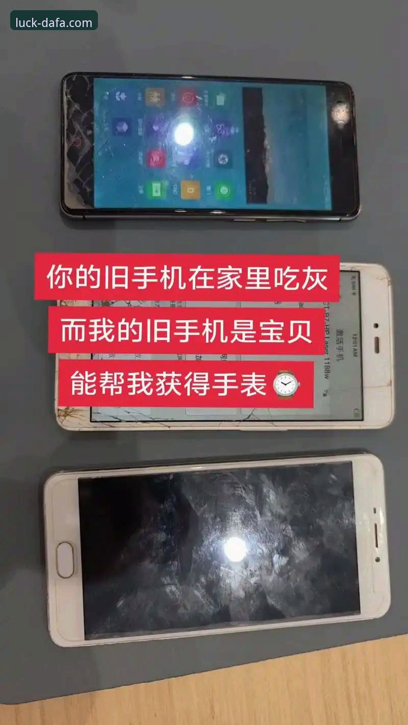 3步搞定大发彩票登录平台手机版：从下载到畅玩的完整实战指南